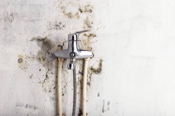 Best Water Damage Restoration  in Mundelein, IL