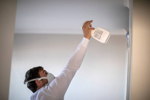 Best Best Mold Removal Companies  in Mundelein, IL