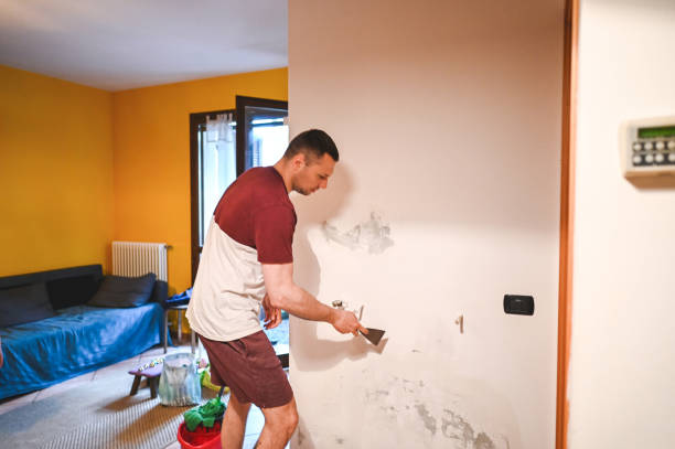 Best Mold Testing  in Mundelein, IL